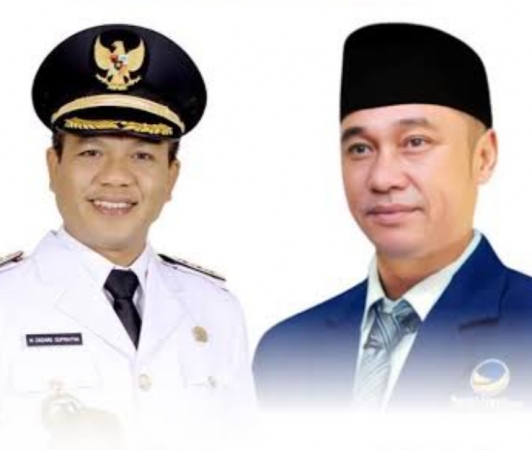250531000453-dadan.jpg
